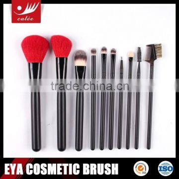 EYA 10pcs popular makeup brush set