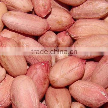 peanut kernels for sale