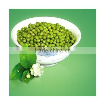 Green Mung Bean