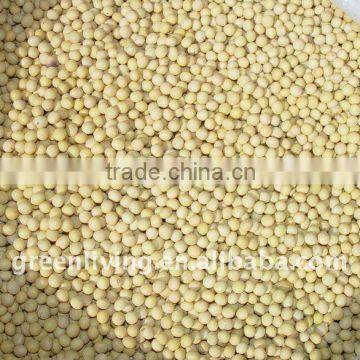 Soya bean supplier