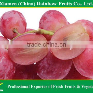 Fresh Grapes Red Globe