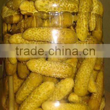 Pickled Gherkin, Good Quality Gherkin in Glass Jar