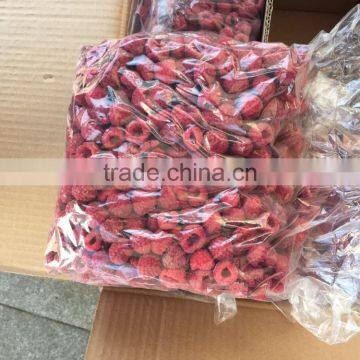 IQF Raspberry photo-2