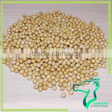 Non-gmo Soybeans photo-3