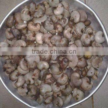 Raw Cashew Nuts in Shells