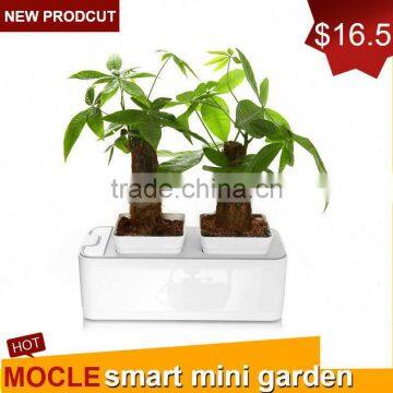 best new flower pots