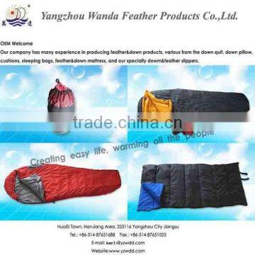 Sleeping Bag