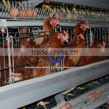 Hot-sale in Africa Market A type 3tiers Metal Farm Poultry Cages