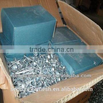 Umbrella Roofing Nails/Corrugated Roofing Nails/ Square Roofing Nails photo-4