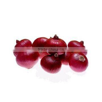 Large Machine Cutter Chengdu Mashed Garlic Ginger Garlic Machine of High Quality Stainless Steel Blade Free Use of a Machine photo-3