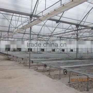 Poly Film Tomato Greenhouse photo-4