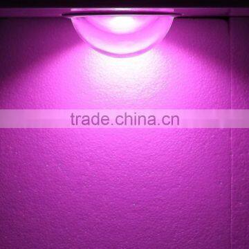 Powerful Cob Led Full Spectrum Chip for Plant,plant Chips photo-3