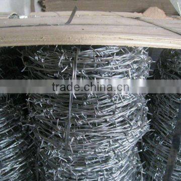 barbed wire mesh