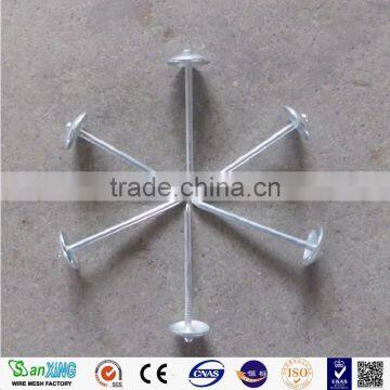 Nails for Construction/Galvanized Iron Nails,umbrella Head Roofing Nails photo-5