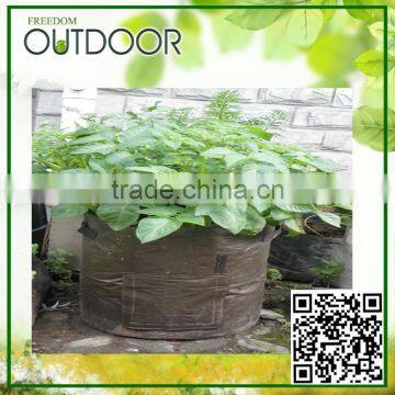 Garden Vegetables Growing Bags