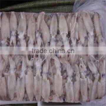 High Sale Seafood BQF Frozen Baby Squid photo-4