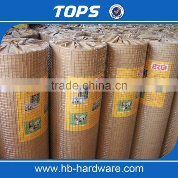 Durable Plastic 8 Gauge Welded Wire Mesh photo-6
