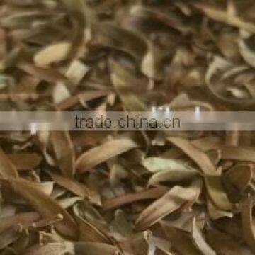 2016 New Dried Olive Leaf photo-3