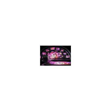 P24 Electronic Indoor Stage LED Screens LED Waterproof Module SMD1010