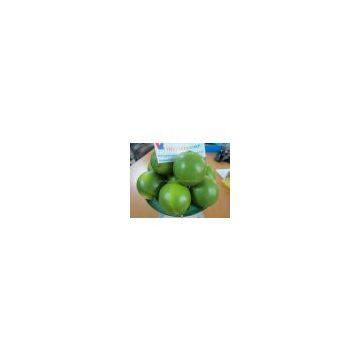 FRESH LIME