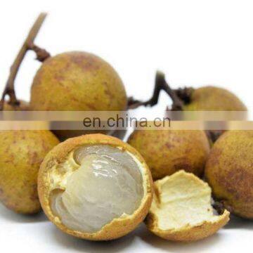 Machines pour éplucher et désnoyer les fruits de longane, éplucheuse de fruits de litchi et équipement pour enlever le noyau, ligne de traitement de jus de litchi photo-3