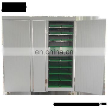 Pea bean/Radish Sprouts Growing Machinery Garlic seedling machine