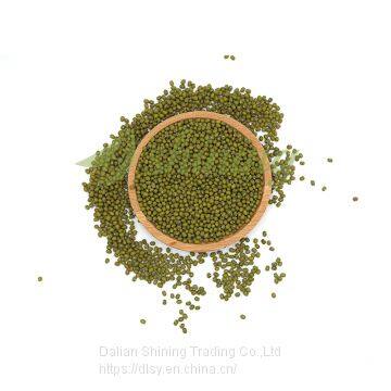 Various green mung beans specification