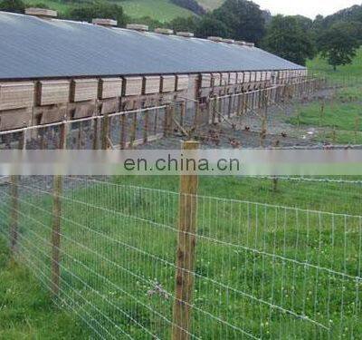 XINHAI Heavy Duty Hot Dipped Galvanized Sheep/cattle/goat/horse Yard Panels Livestock Panel photo-3