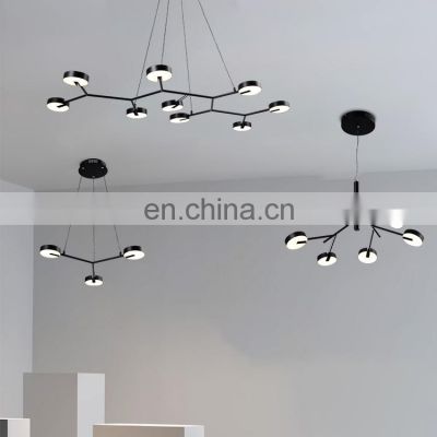 HUAYI New Model Modern Style Living Room Decoration Acrylic Iron LED Pendant Light