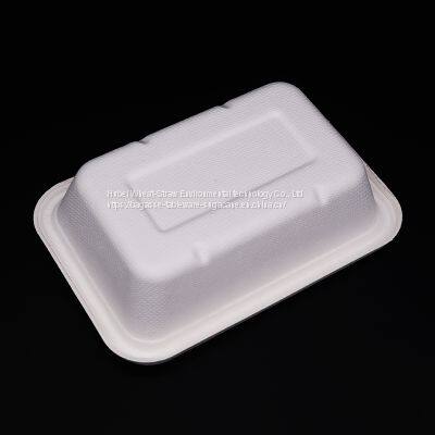 New Hot Disposable Biodegradable  500ML TRAY Bagasse Food Box Take away Sugarcane container