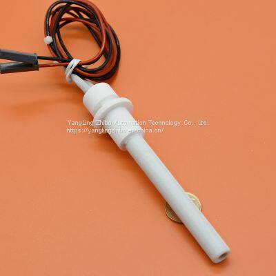 110V300W MCH Ceramic Igniter Ceramic Ignition Stick MCH Ceramic Heater MCH Ceramic Heating Tube Can OEM or ODM
