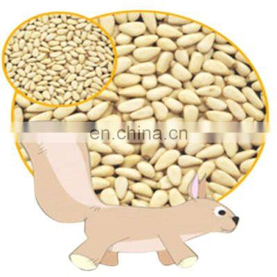 Byloo Chinese CHINA premium quality best pine nuts price per pound for sale