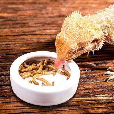 Pet food yellow-mealworms