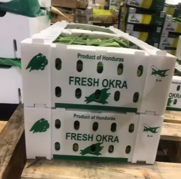 Wholesale Corrugated PP Plastic Vegetables Crates – Custom Packaging Box Factory photo-3