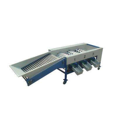 Citrus Photo Electronic Grading Line