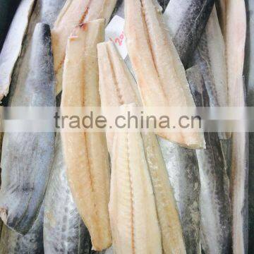 New best quality A grade or B grade scomberomorus mackerel fillets