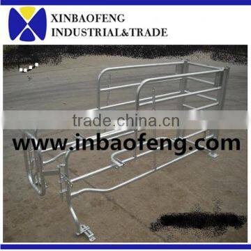 xinbaofeng pig farrowing crate for sale