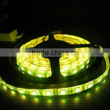2016 Festalight Factory Price 5m/roll Ourdoor Christmas Swimming Pool Lights Smd 3528 Flxible Led Light Strip 5050 Blue ce Rohs photo-4