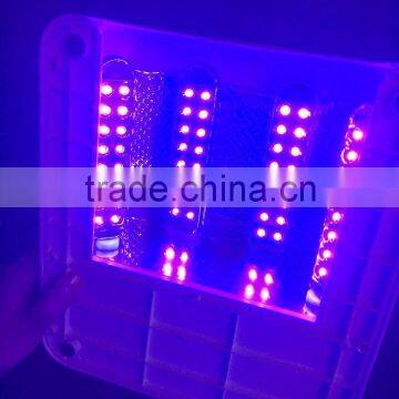 5W gel curing UV lamp bulb