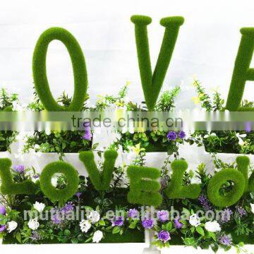 Latest Beautiful creative office &table decoration potted plants for wedding decoration