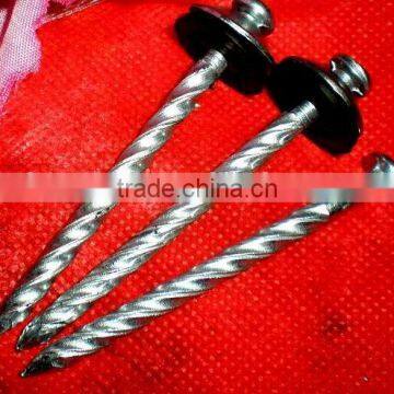 120mm Galvanized Roofing Nail photo-3