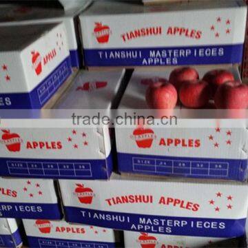 chinese fuji apple fuji