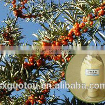 100% nature green seabuckthorn juice extract powder