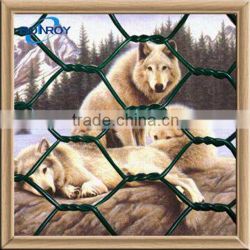 pvc-coated hexagonal wire netting fencing