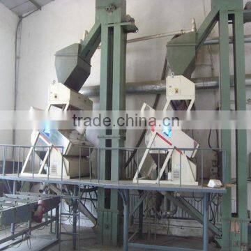 Sunflower Seeds Long Shape photo-4