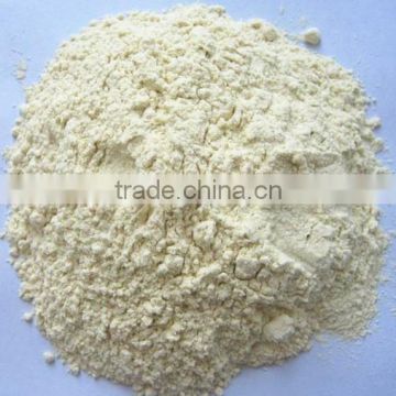 Onion white powder good quality to EU