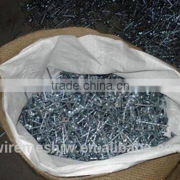 2Inch Common Iron Wire Nail