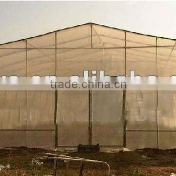 Agricultural plastic tunnel greenhouse