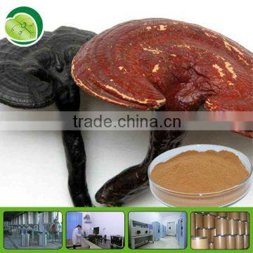 100% Organic reishi mushroom extract powder Polysaccharides 30%