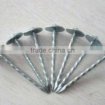 umbrella head galvanized roofing nails